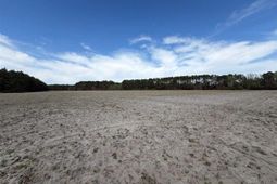 Mta 9 Heustess Rd photo 4