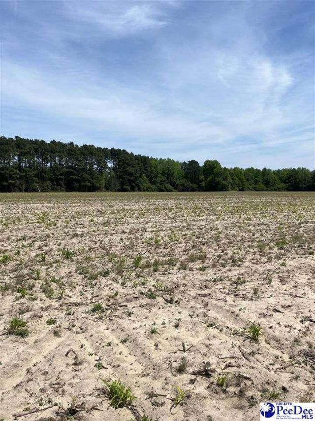 Mta 9 Heustess Rd Photo 26