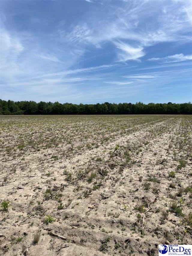 Mta 9 Heustess Rd Photo 27