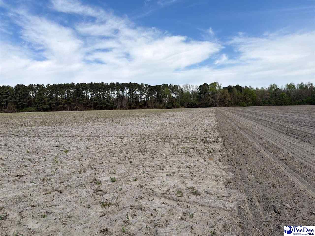 Mta 9 Heustess Rd Photo 4