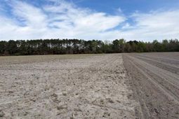 Mta 9 Heustess Rd photo 4