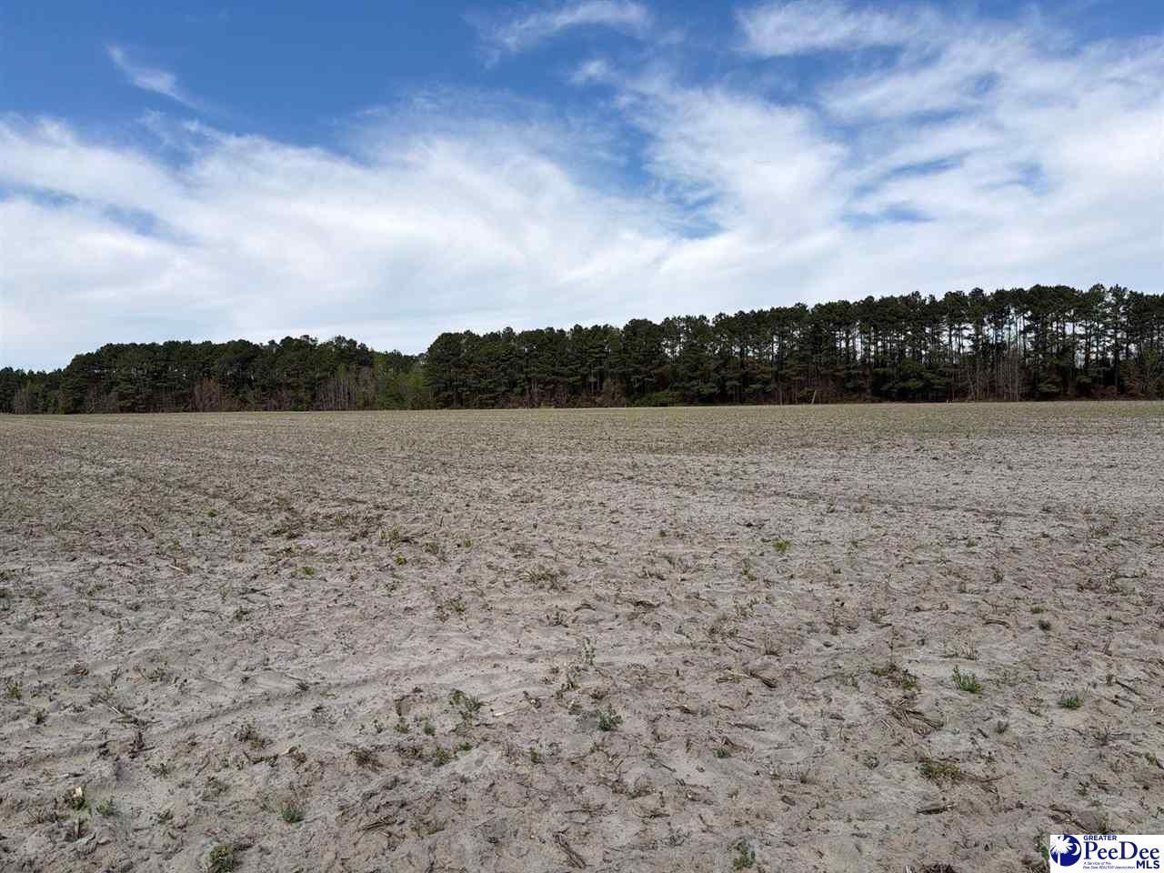 Mta 9 Heustess Rd Photo 5