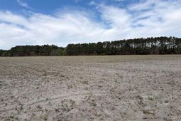 Mta 9 Heustess Rd photo 4