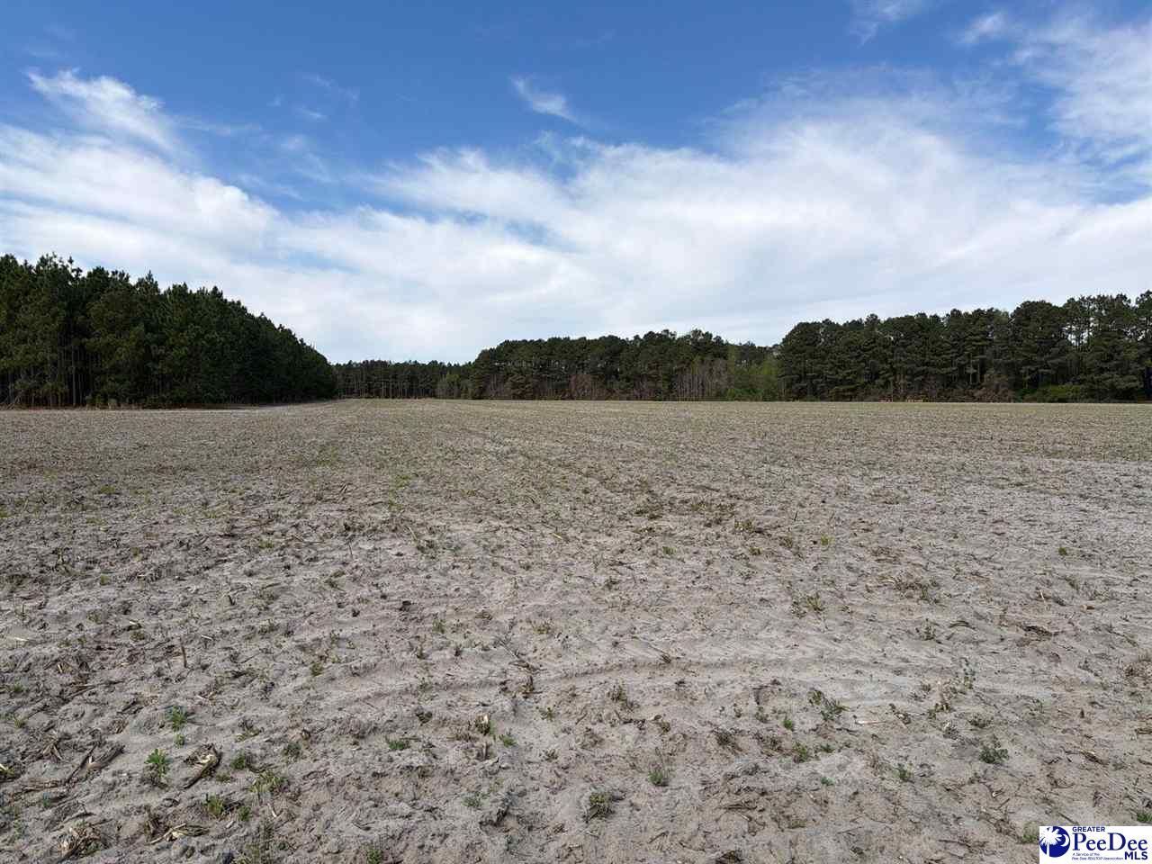 Mta 9 Heustess Rd Photo 6