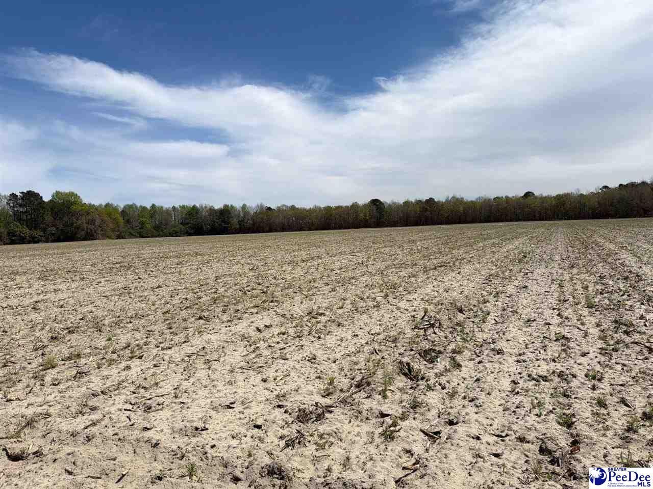 Mta 9 Heustess Rd Photo 7