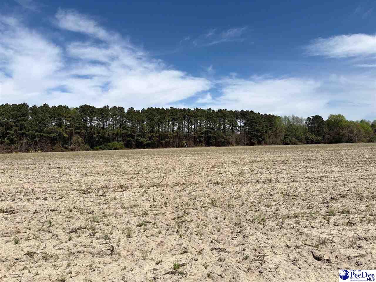 Mta 9 Heustess Rd Photo 8