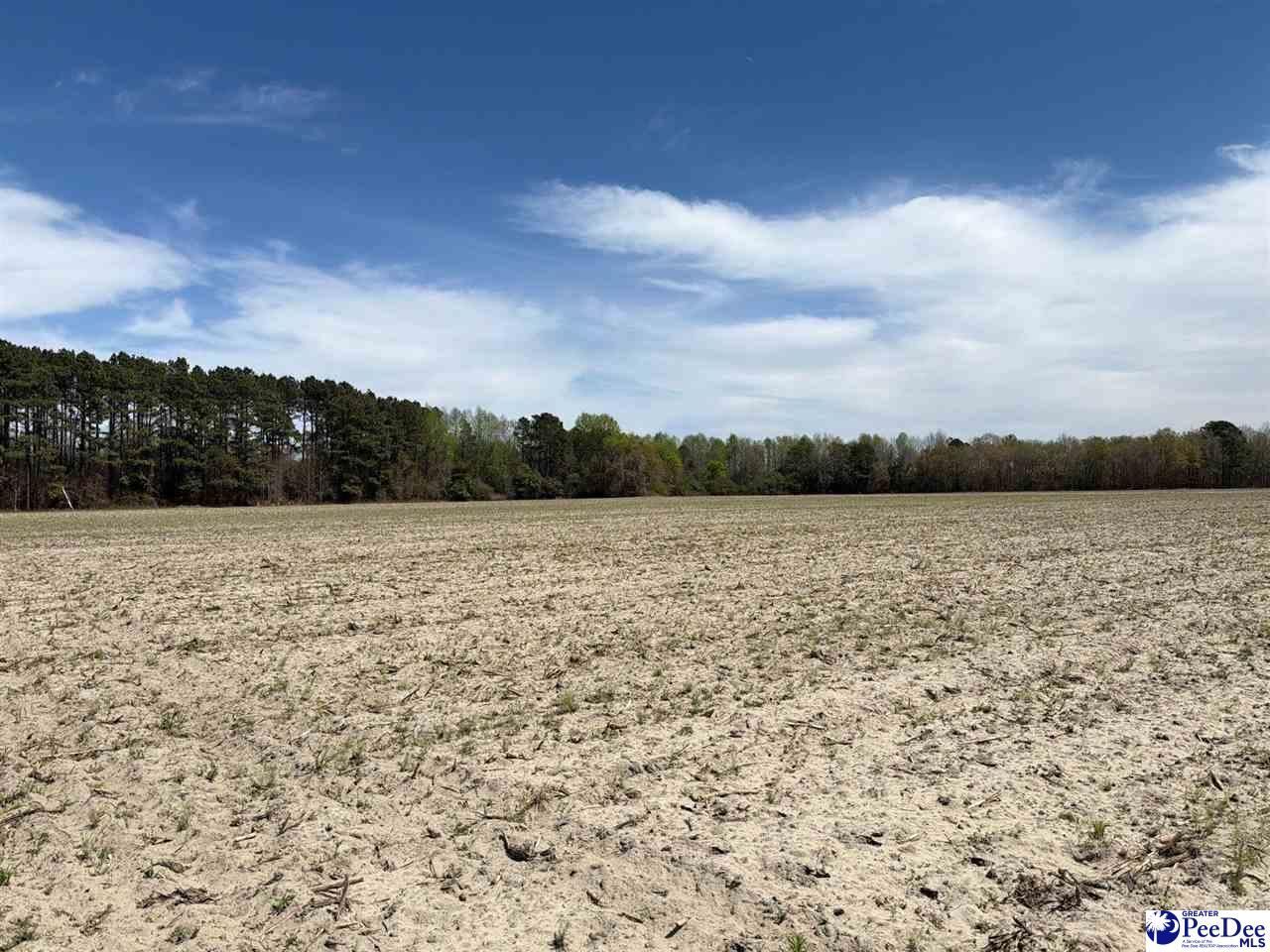 Mta 9 Heustess Rd Photo 9