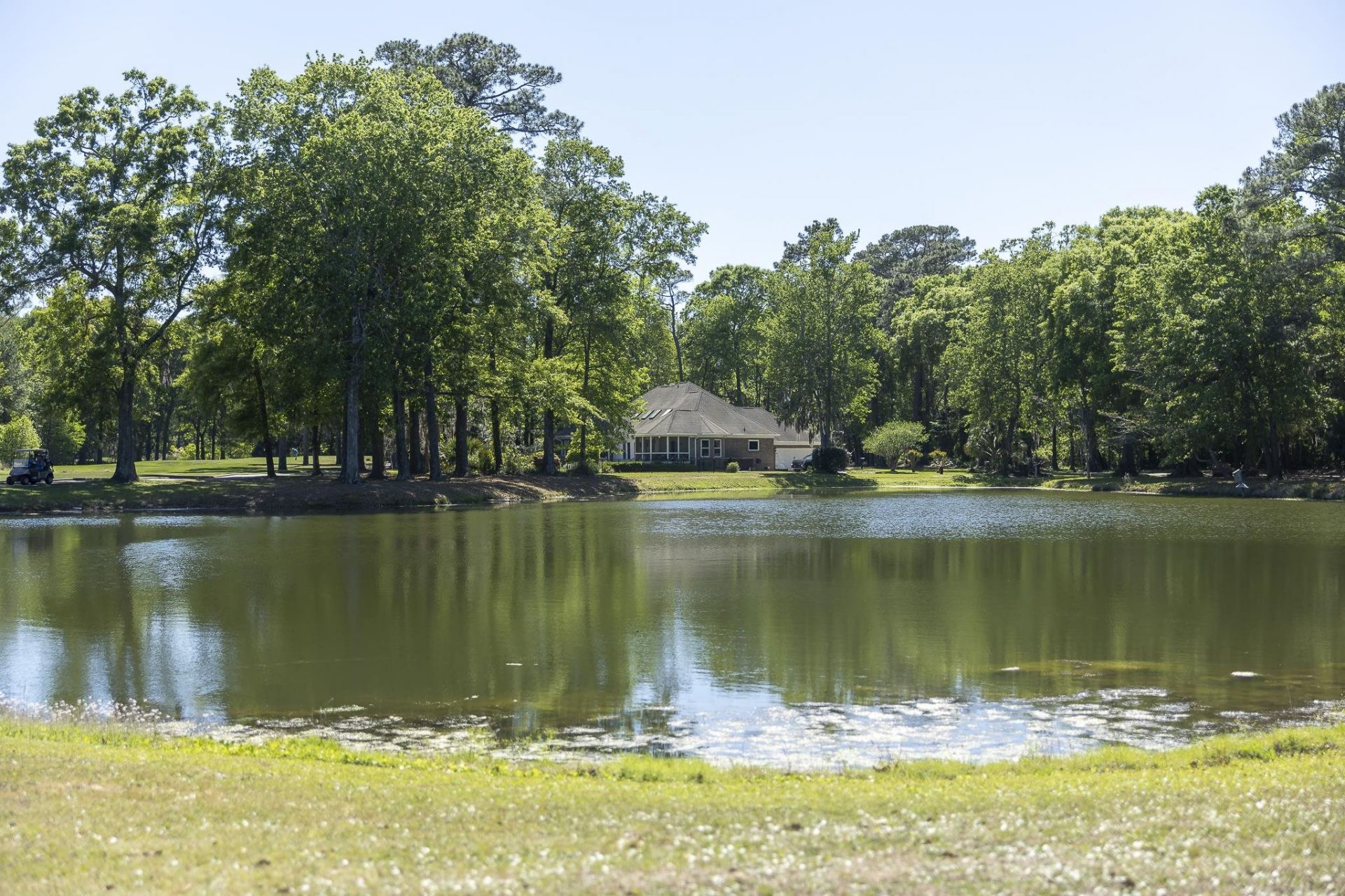 133 Old Augusta Dr. Photo 36