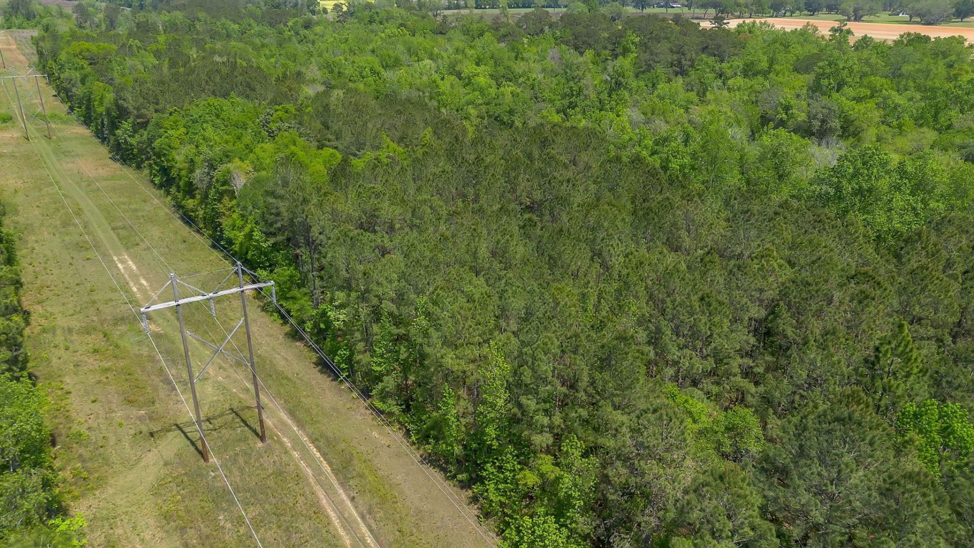 Xx Mcnair Road , Havana, FL 32333 Photo