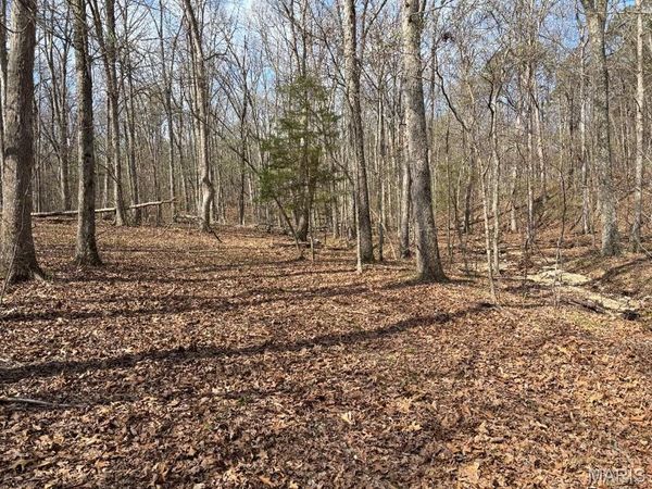 0000 W State Highway 8 , Potosi, MO 63664