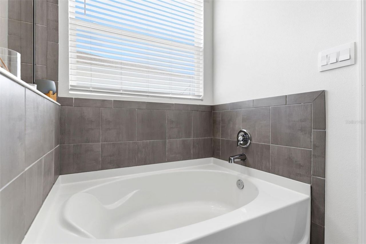 3787 Autumn Amber Drive, Spring Hill, FL 34609 Photo