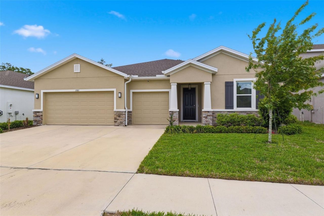 3787 Autumn Amber Drive, Spring Hill, FL 34609 Photo