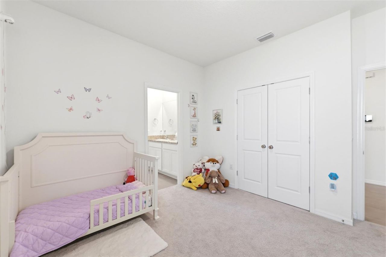 3787 Autumn Amber Drive, Spring Hill, FL 34609 Photo