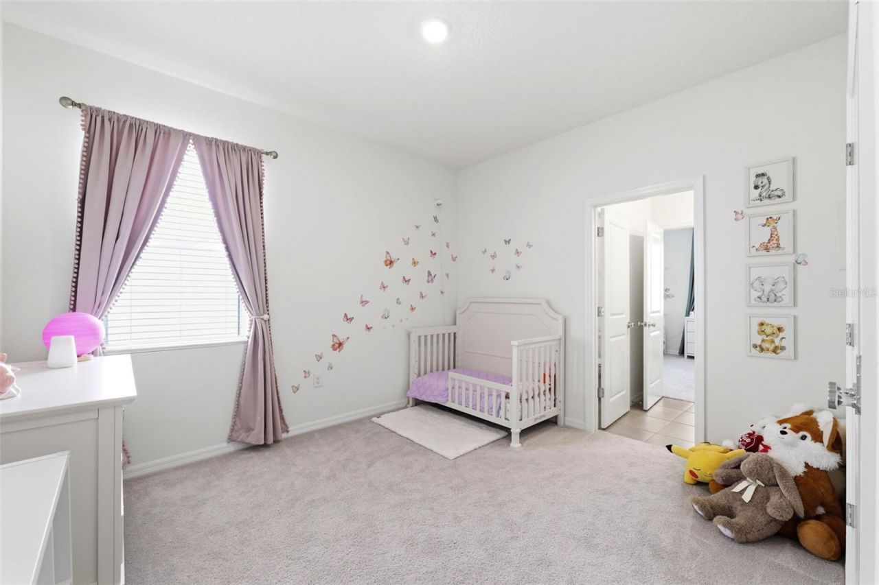 3787 Autumn Amber Drive, Spring Hill, FL 34609 Photo