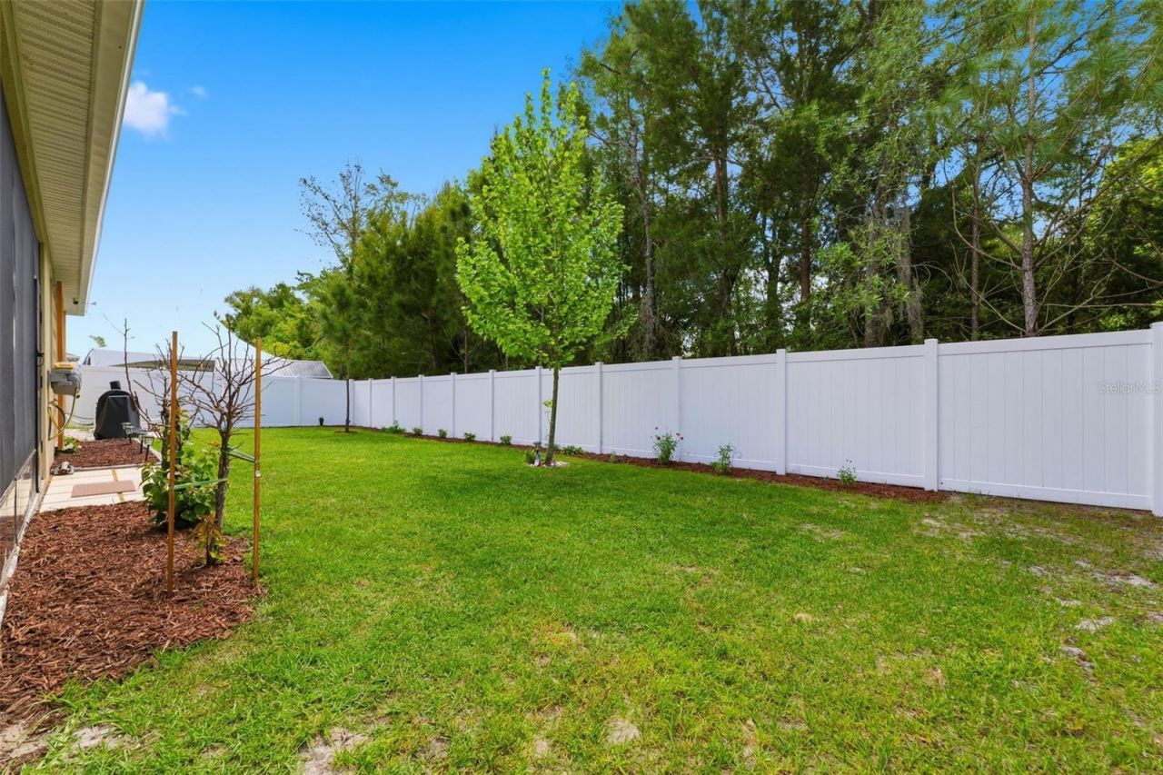 3787 Autumn Amber Drive, Spring Hill, FL 34609 Photo