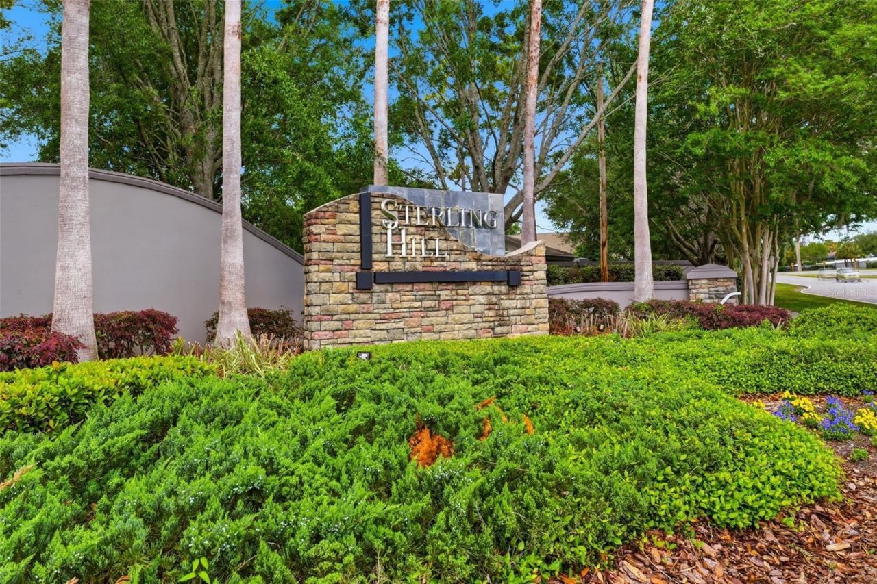3787 Autumn Amber Drive, Spring Hill, FL 34609 Photo