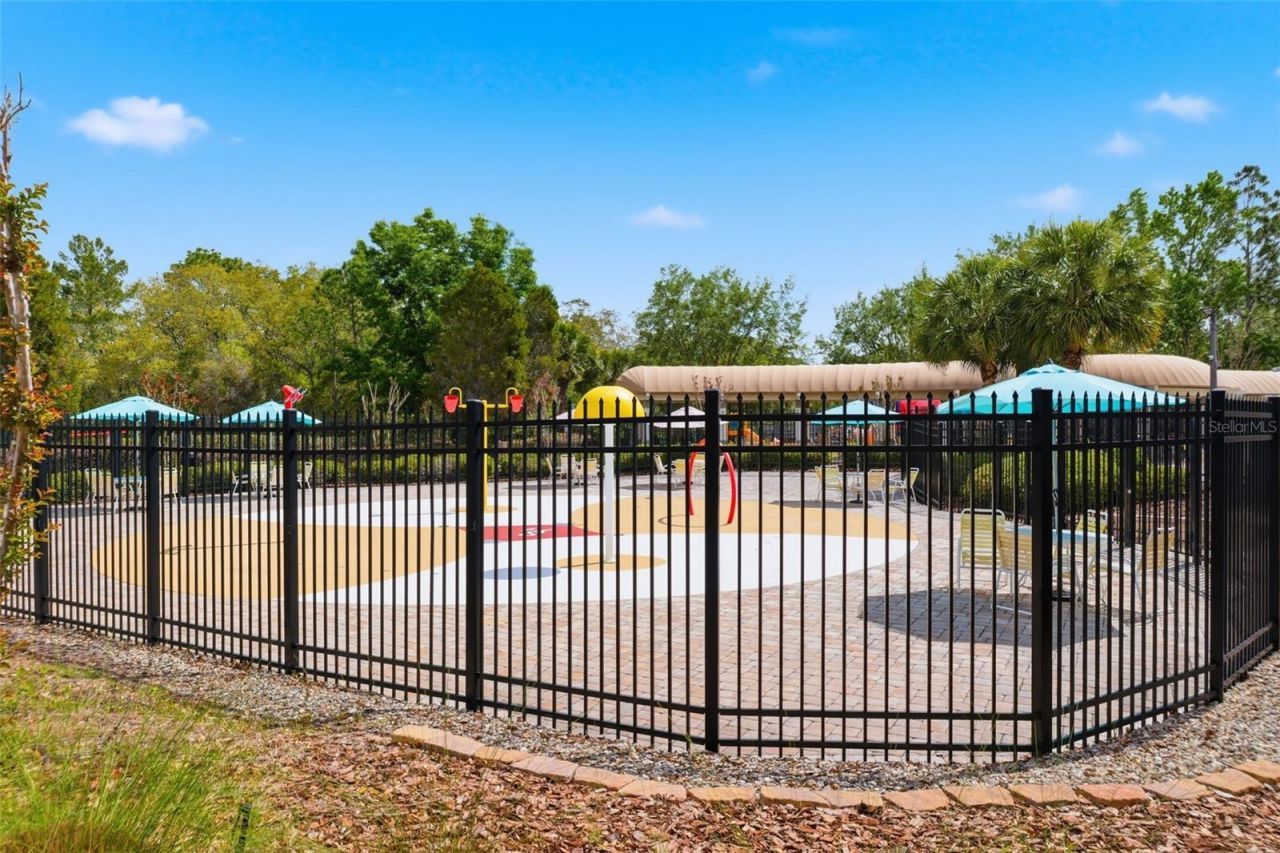 3787 Autumn Amber Drive, Spring Hill, FL 34609 Photo