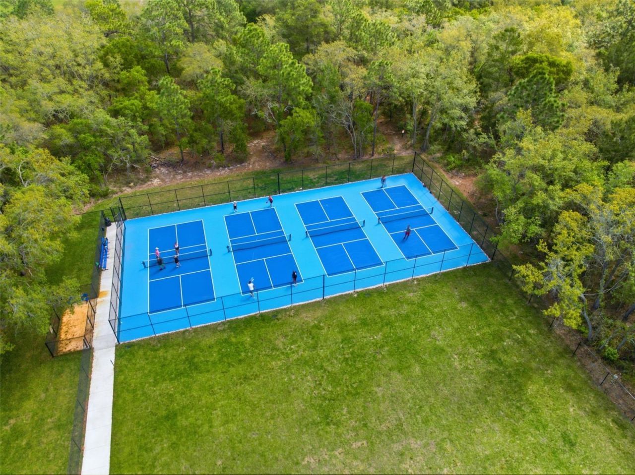 3787 Autumn Amber Drive, Spring Hill, FL 34609 Photo