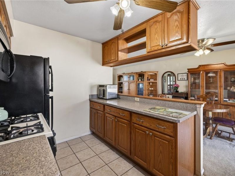 5709 Davis Drive, Mentor, OH 44060 Photo 14