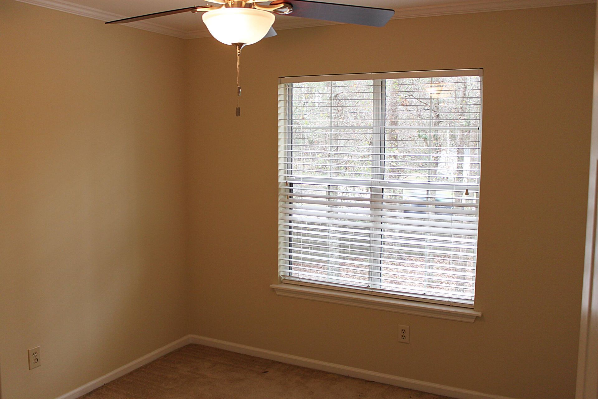 1235 Center Lake Drive Photo 14