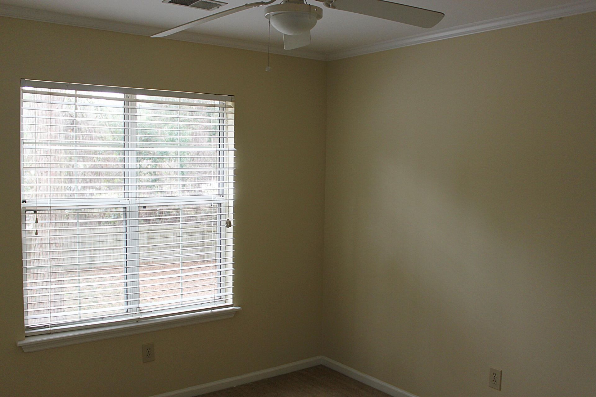 1235 Center Lake Drive Photo 15