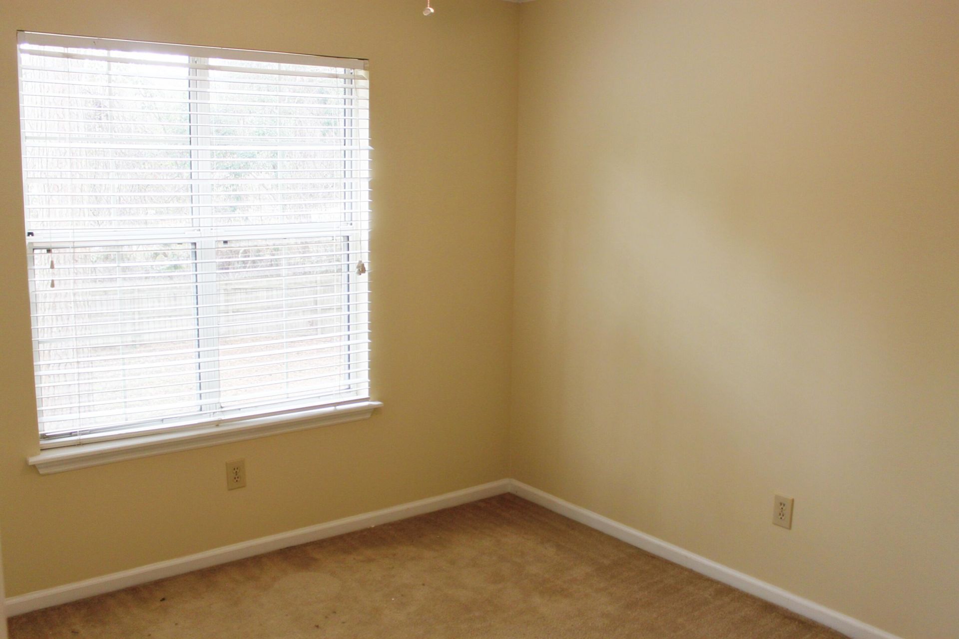 1235 Center Lake Drive Photo 16