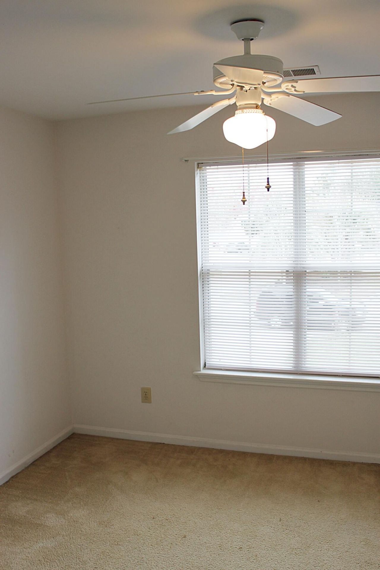 1235 Center Lake Drive Photo 17