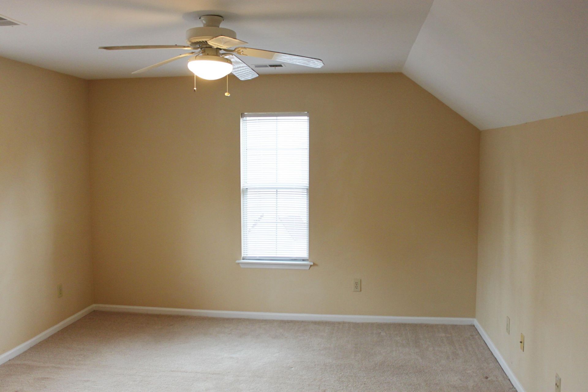 1235 Center Lake Drive Photo 18