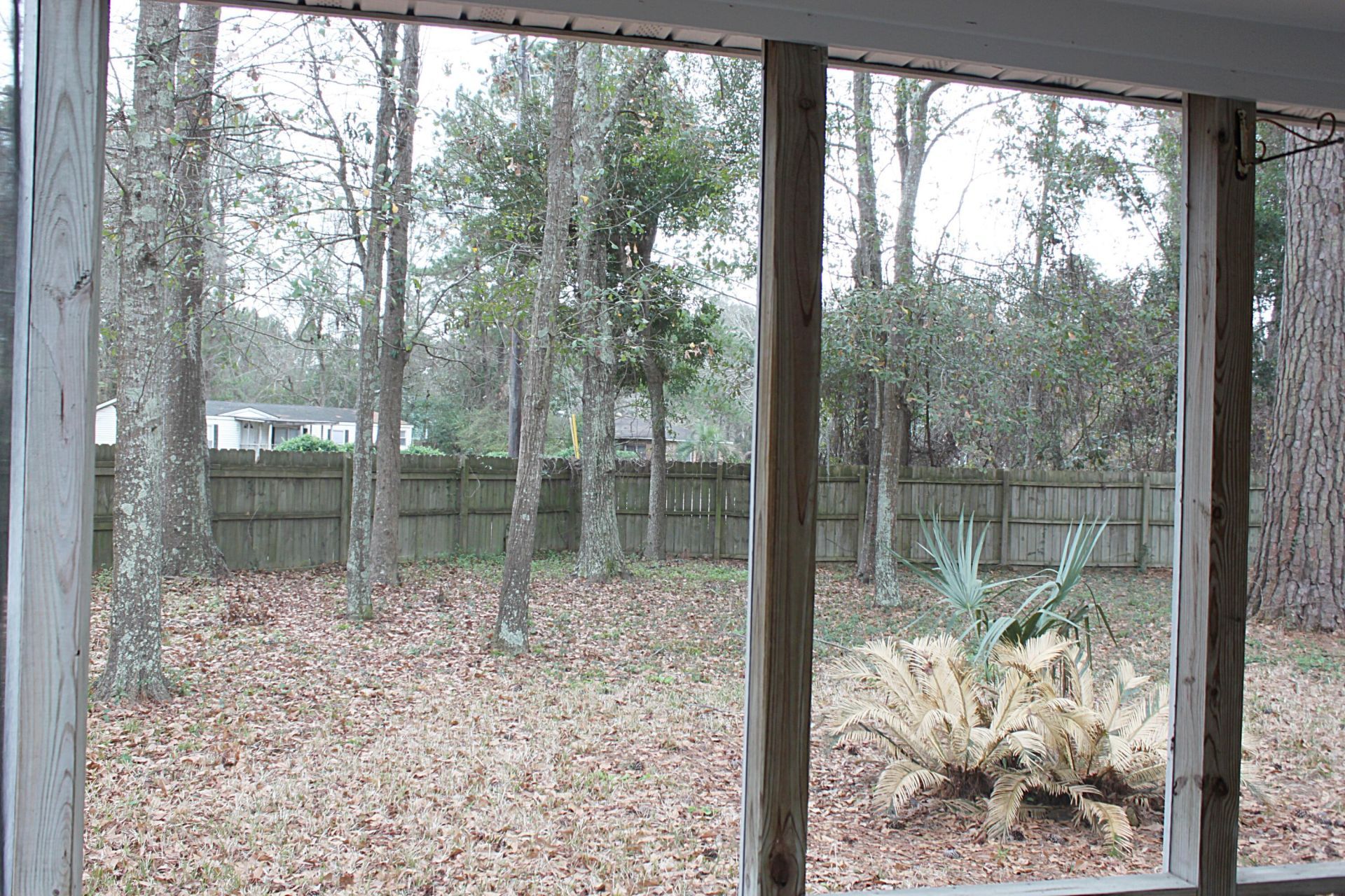 1235 Center Lake Drive Photo 20