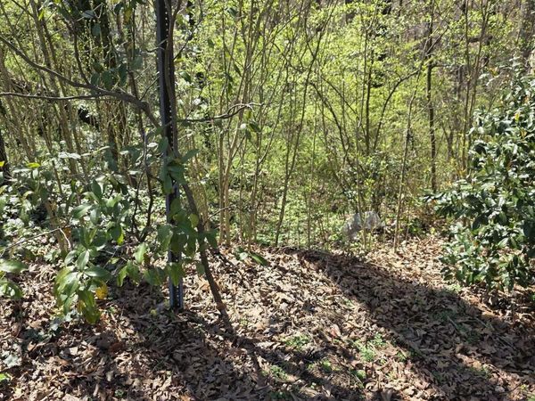 645 16th Terrace Circle, Center Point, AL 35215