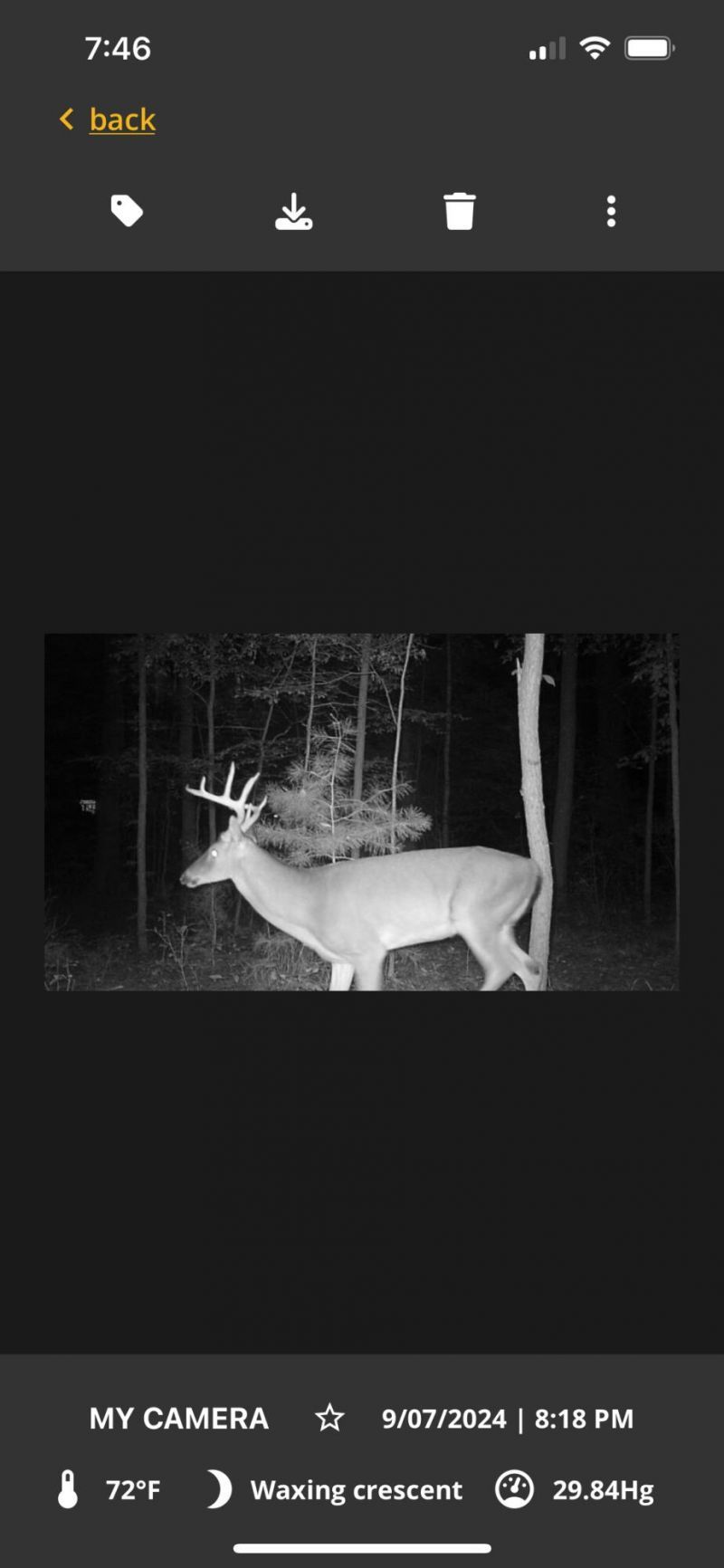 813 Lecture Drive Photo 46