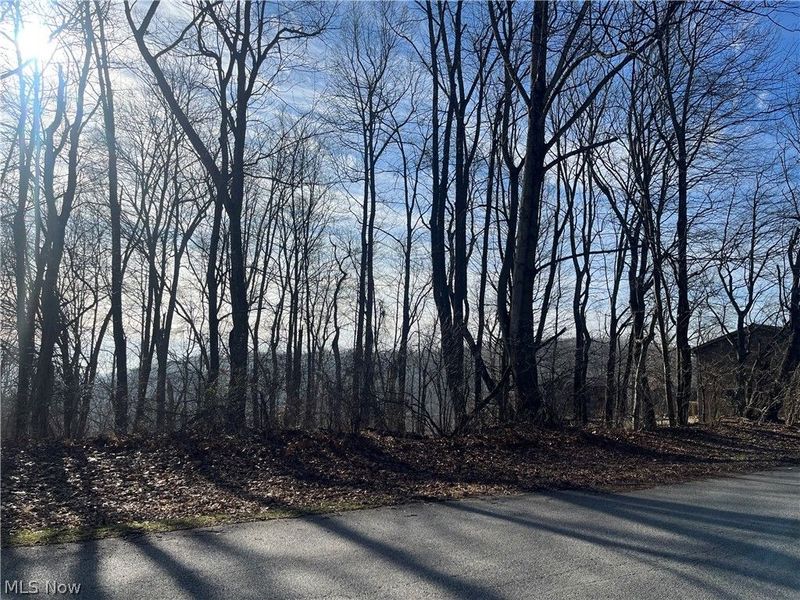 Sarah Boulevard, Toronto, OH 43964 Photo 1