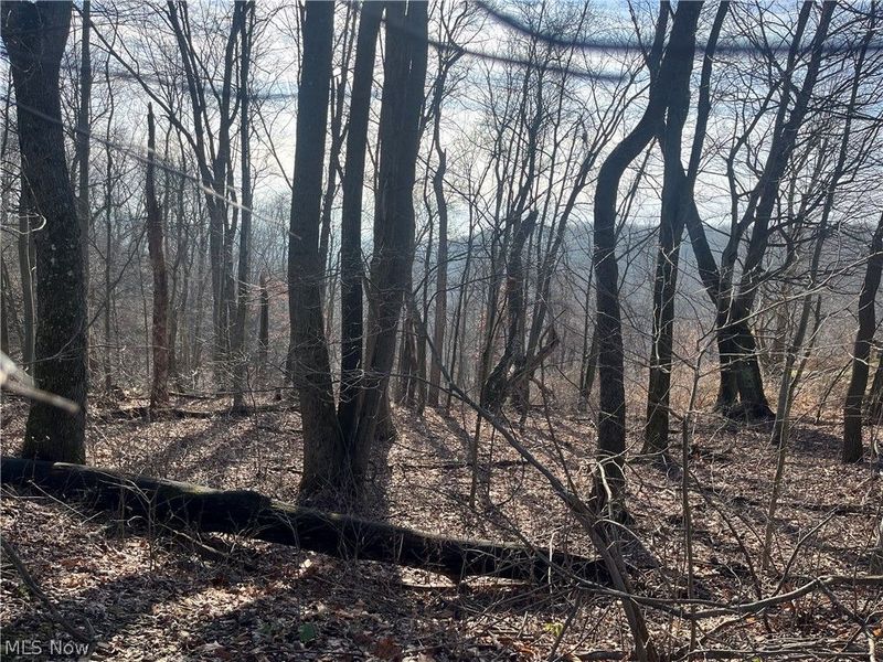 Sarah Boulevard, Toronto, OH 43964 Photo 10