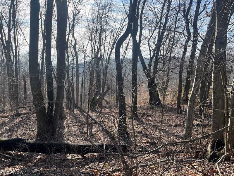 Sarah Boulevard, Toronto, OH 43964 Photo 11