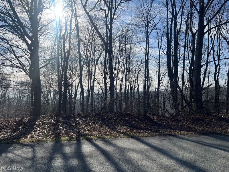 Sarah Boulevard, Toronto, OH 43964 Photo 2