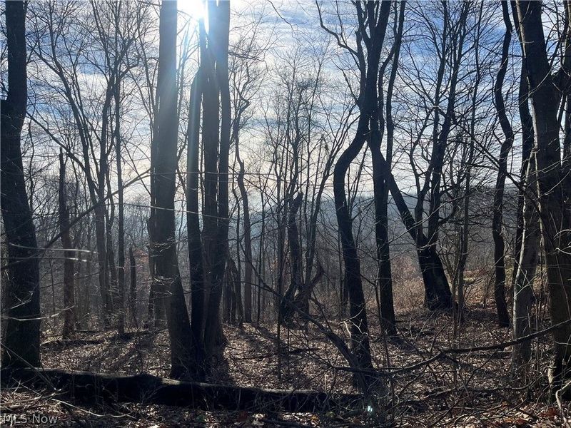 Sarah Boulevard, Toronto, OH 43964 Photo 3