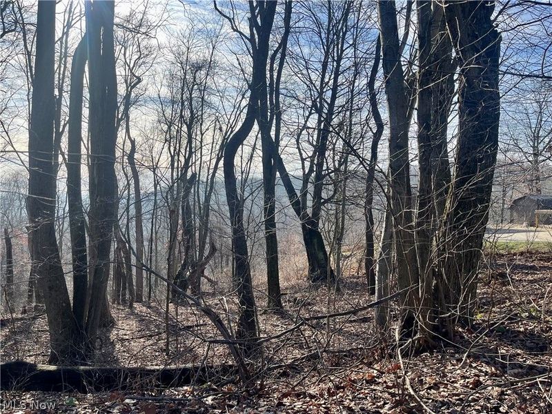 Sarah Boulevard, Toronto, OH 43964 Photo 4