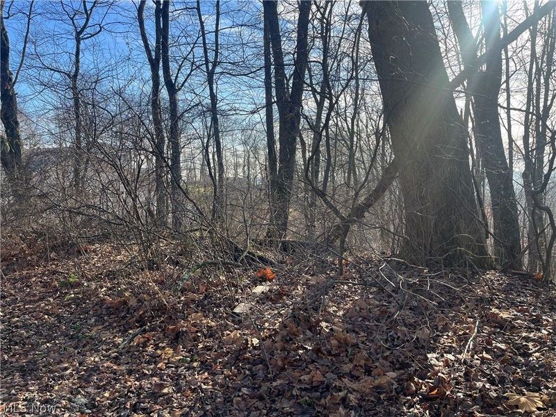 Sarah Boulevard, Toronto, OH 43964 Photo 5