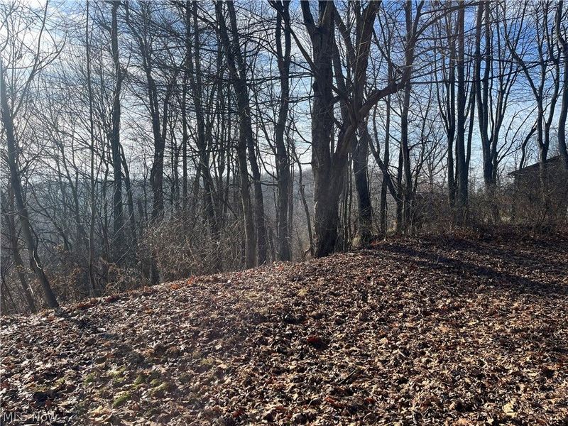 Sarah Boulevard, Toronto, OH 43964 Photo 6