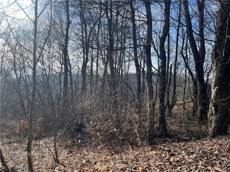 Sarah Boulevard, Toronto, OH 43964 Photo 7