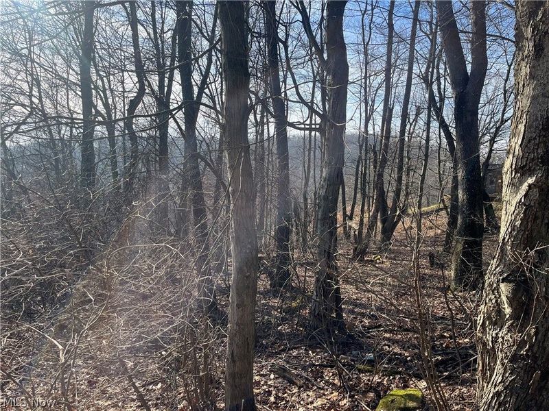 Sarah Boulevard, Toronto, OH 43964 Photo 8