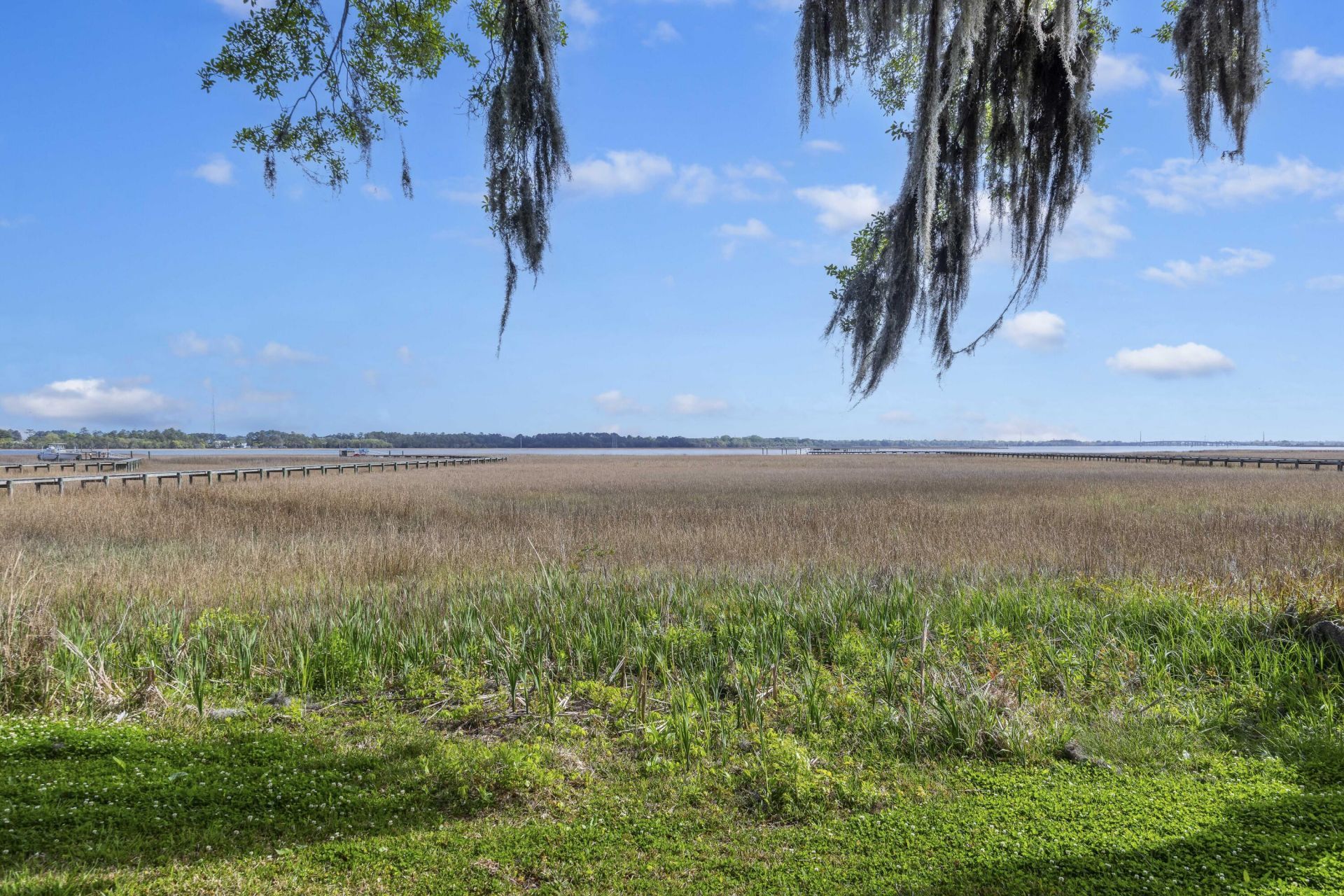 4033 Kaolin Street Photo 10