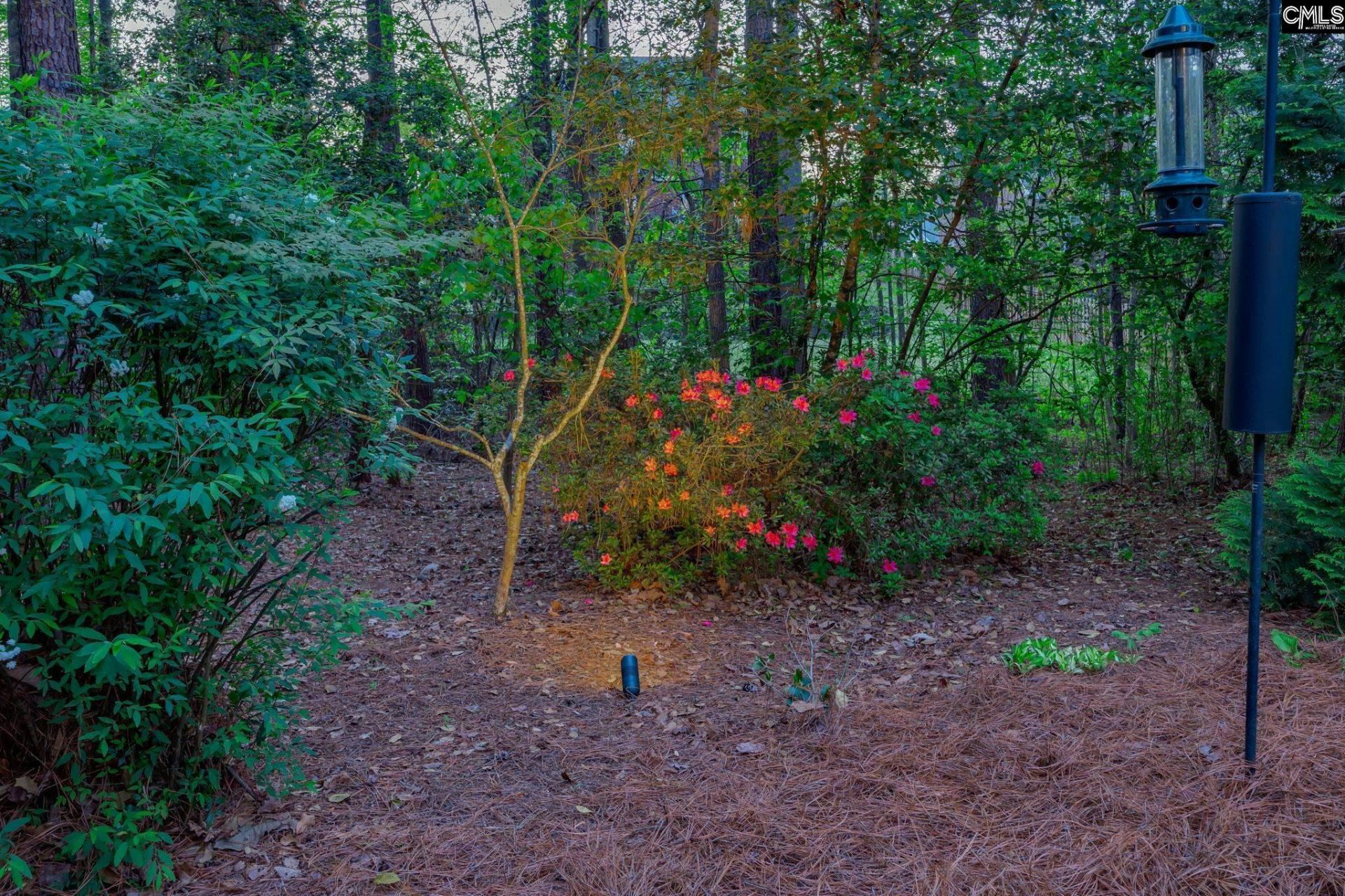 125 Scarlet Oak Way Photo 81