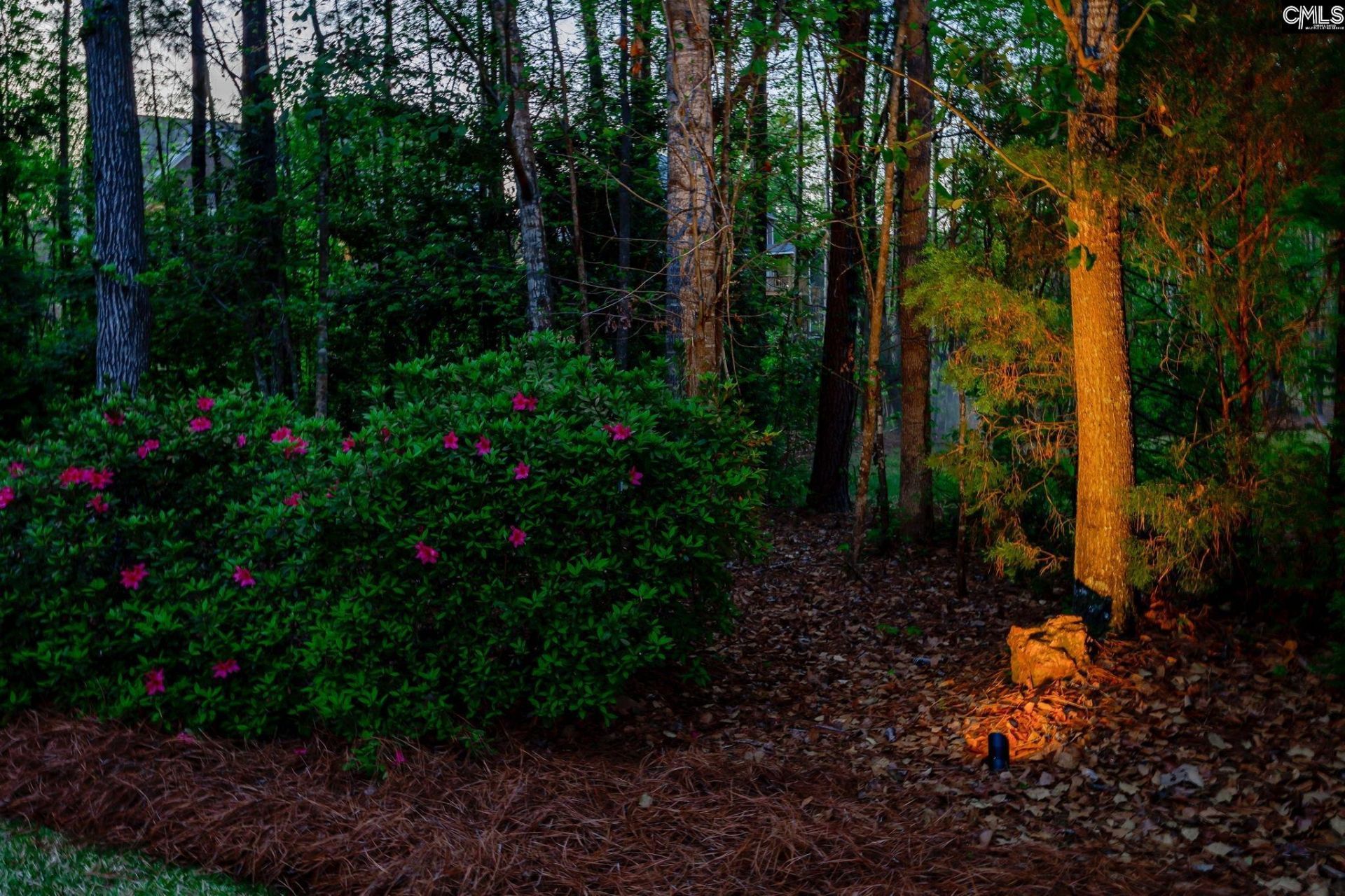 125 Scarlet Oak Way Photo 82