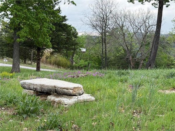 26 Rocky Top, Holiday Island, AR 72631