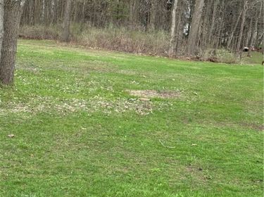 7356 Buckley Road, Syracuse, NY 13212