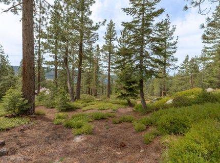 1379 Alpine Vista, Arnold, CA 95223 Photo