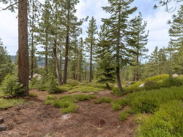 1315 Skyline Dr, Arnold, CA 95223