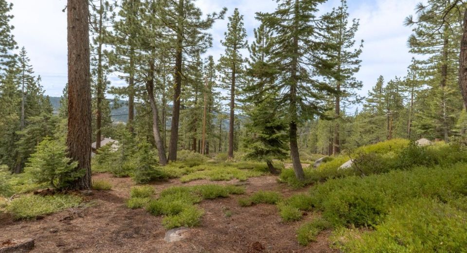 1315 Skyline Dr, Arnold, CA 95223 Photo