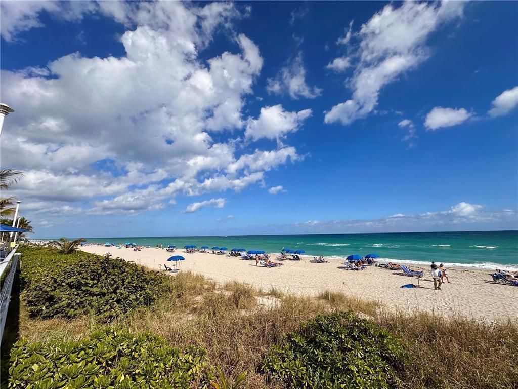 1880 S Ocean Drive, Unit Ts705, Hallandale Beach, FL 33009 Photo